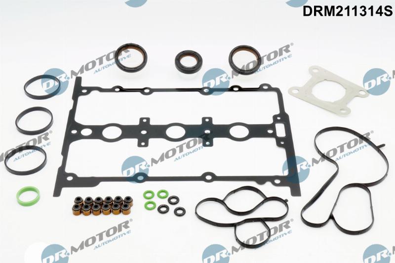 Dr.Motor Automotive DRM211314S - Set garnituri, chiulasa aaoparts.ro