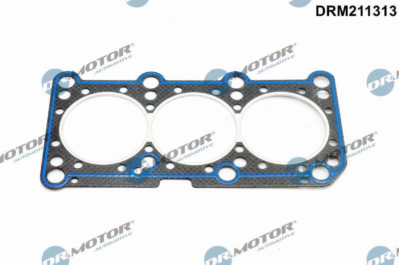 Dr.Motor Automotive DRM211313 - Garnitura, chiulasa aaoparts.ro