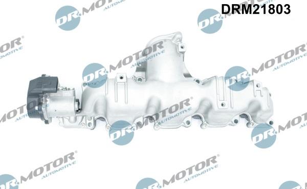 Dr.Motor Automotive DRM21803 - Modul conducta admisie aaoparts.ro