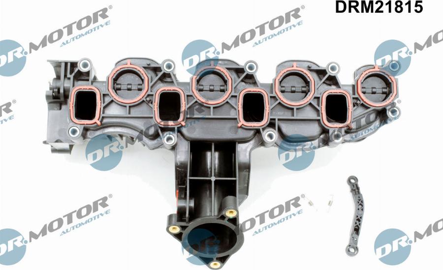 Dr.Motor Automotive DRM21815 - Modul conducta admisie aaoparts.ro