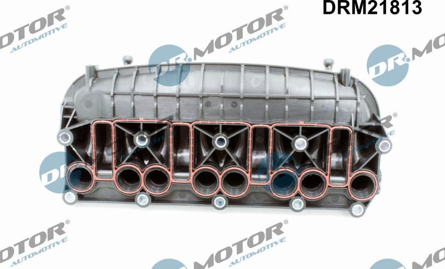 Dr.Motor Automotive DRM21813 - Modul conducta admisie aaoparts.ro