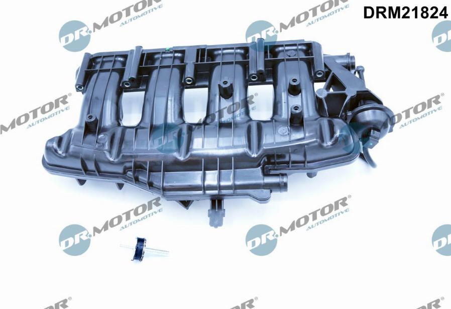 Dr.Motor Automotive DRM21824 - Modul conducta admisie aaoparts.ro