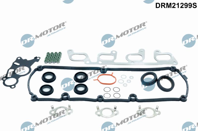 Dr.Motor Automotive DRM21299S - Set garnituri, chiulasa aaoparts.ro