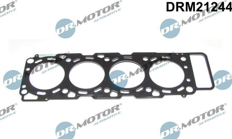 Dr.Motor Automotive DRM21244 - Garnitura, chiulasa aaoparts.ro