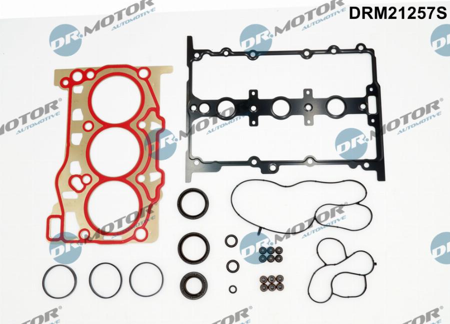 Dr.Motor Automotive DRM21257S - Set garnituri complet, motor aaoparts.ro