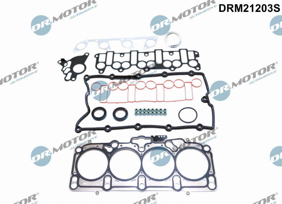 Dr.Motor Automotive DRM21203S - Set garnituri, chiulasa aaoparts.ro