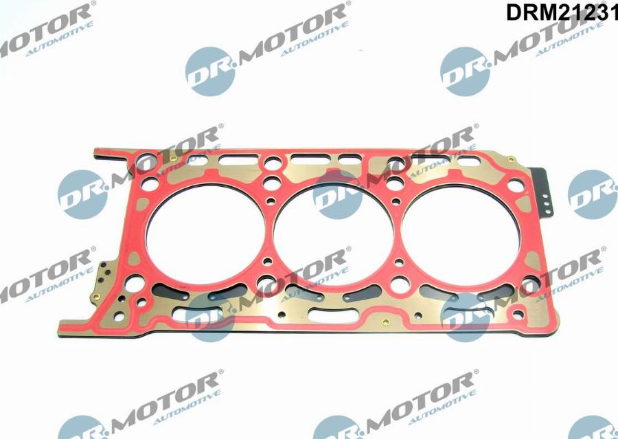 Dr.Motor Automotive DRM21231 - Garnitura, chiulasa aaoparts.ro