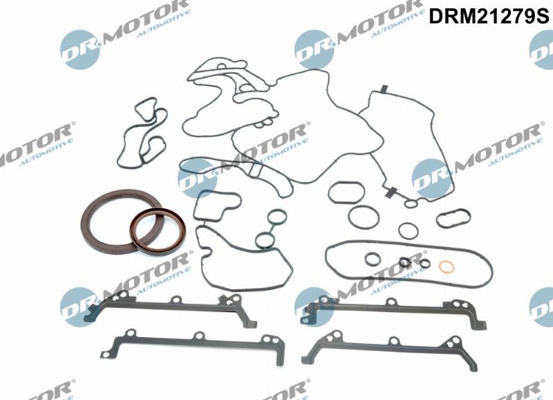 Dr.Motor Automotive DRM21279S - Set garnituri, carter aaoparts.ro