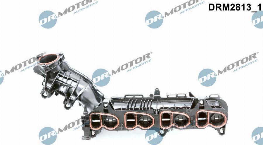 Dr.Motor Automotive DRM2813 - Modul conducta admisie aaoparts.ro