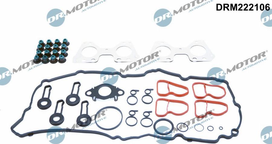 Dr.Motor Automotive DRM222106 - Set garnituri, chiulasa aaoparts.ro