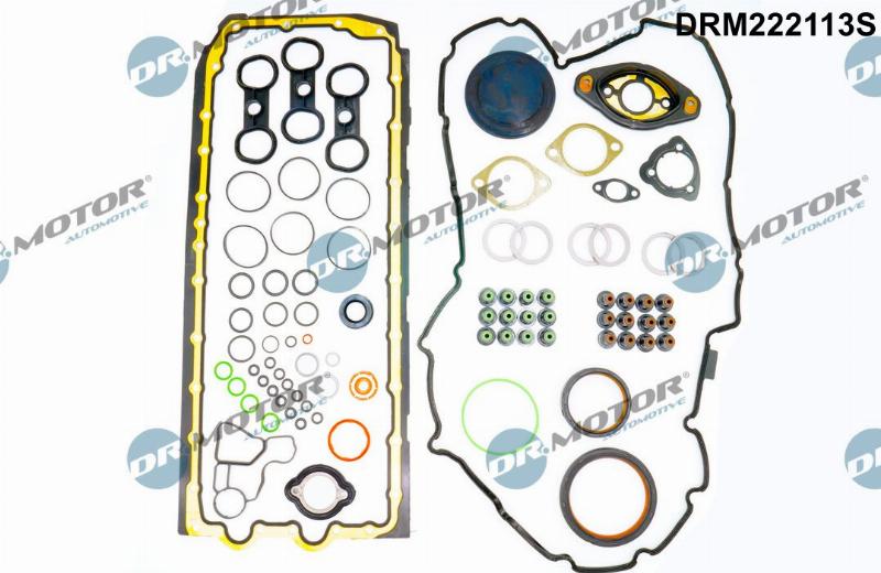 Dr.Motor Automotive DRM222113S - Set garnituri, chiulasa aaoparts.ro