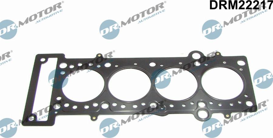 Dr.Motor Automotive DRM22217 - Garnitura, chiulasa aaoparts.ro