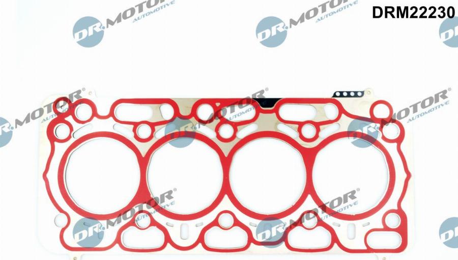 Dr.Motor Automotive DRM22230 - Garnitura, chiulasa aaoparts.ro