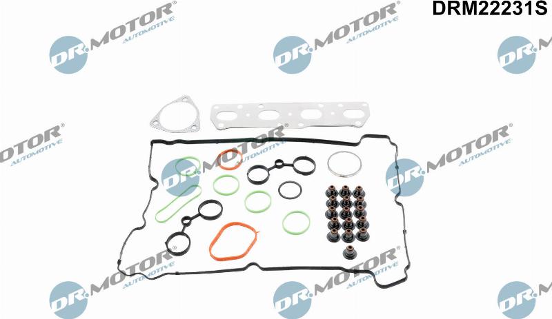 Dr.Motor Automotive DRM22231S - Set garnituri, chiulasa aaoparts.ro
