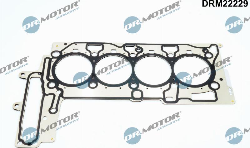 Dr.Motor Automotive DRM22229 - Garnitura, chiulasa aaoparts.ro