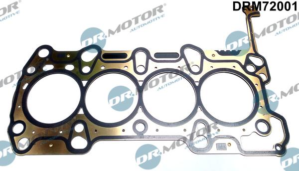 Dr.Motor Automotive DRM72001 - Garnitura, chiulasa aaoparts.ro