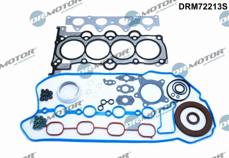 Dr.Motor Automotive DRM72213S - Set garnituri complet, motor aaoparts.ro