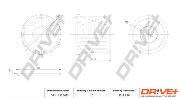 Dr!ve+ DP1110.13.0035 - Filtru combustibil aaoparts.ro