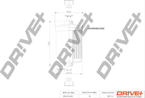 Dr!ve+ DP1110.13.0110 - Filtru combustibil aaoparts.ro