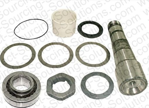 DSS 670076 - Set reparatie, pivot aaoparts.ro
