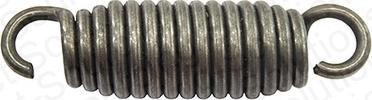 DSS 106029 - Arc sabot frana aaoparts.ro