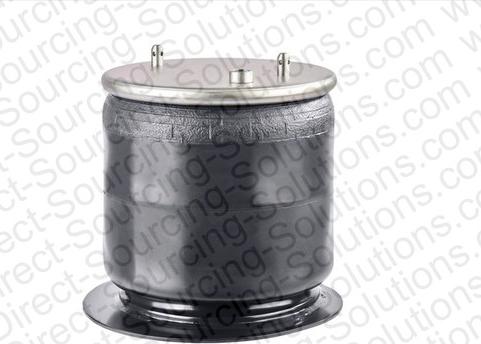 DSS 170089 - Burduf, suspensie pneumatica aaoparts.ro