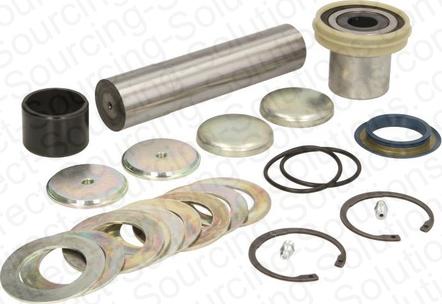 DSS 370025 - Set reparatie, pivot aaoparts.ro