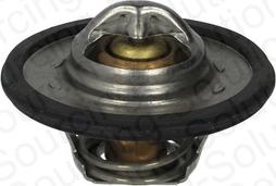DSS 202224 - Termostat,lichid racire aaoparts.ro