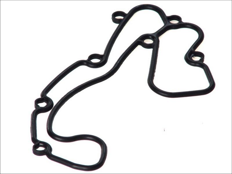 DT Spare Parts 4.20507 - Etansare, racire ulei aaoparts.ro