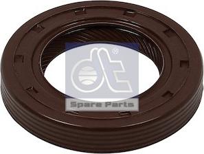 DT Spare Parts 6.22211 - Simering, ax cu came aaoparts.ro
