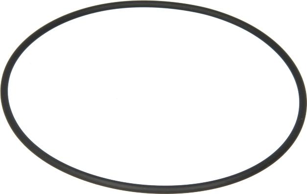 DT Spare Parts 1.10891 - O-ring, camasa cilindru aaoparts.ro