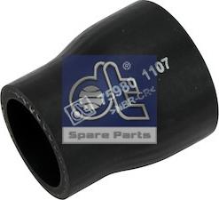 DT Spare Parts 1.10289 - Furtun radiator aaoparts.ro