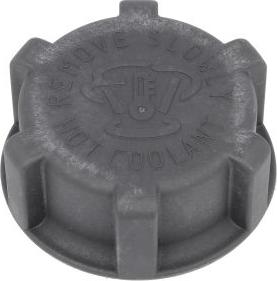 DT Spare Parts 1.11134 - Buson,vas expansiune aaoparts.ro