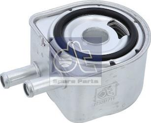 DT Spare Parts 12.17050 - Radiator ulei, ulei motor aaoparts.ro