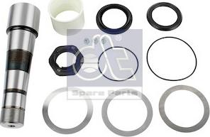 DT Spare Parts 2.95008 - Set reparatie, pivot aaoparts.ro