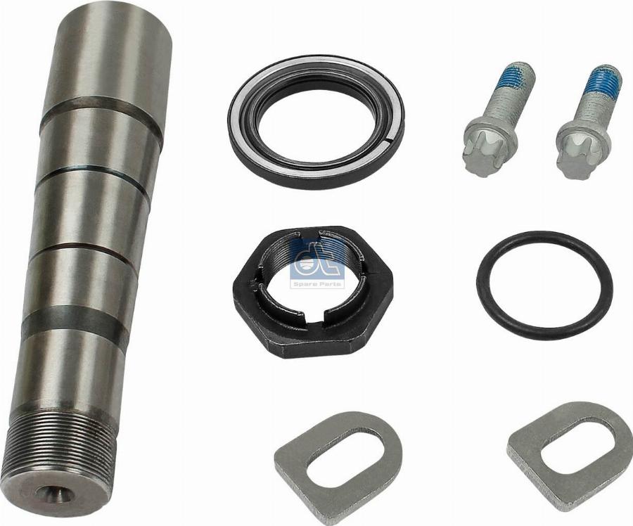 DT Spare Parts 2.95023 - Set reparatie, pivot aaoparts.ro