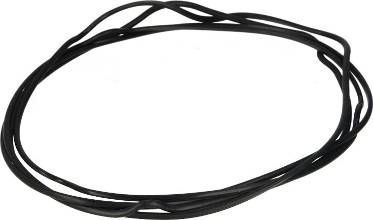 DT Spare Parts 2.10264 - Garnitura, galerie admisie aaoparts.ro