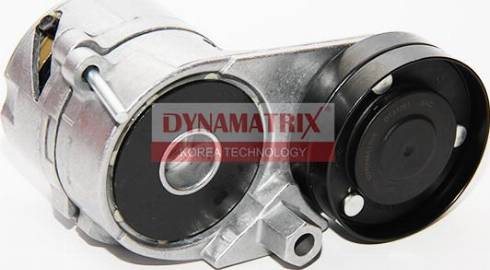 Dynamatrix DT31061 - Rola ghidare / conducere, curea transmisie aaoparts.ro