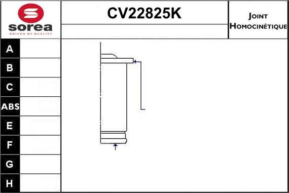 EAI CV22825K - Set articulatie, planetara aaoparts.ro