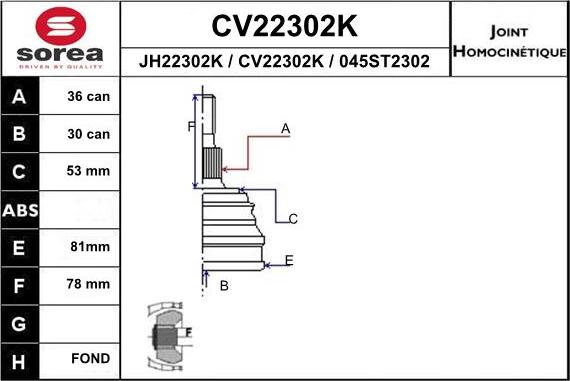 EAI CV22302K - Set articulatie, planetara aaoparts.ro