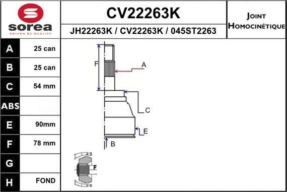 EAI CV22263K - Set articulatie, planetara aaoparts.ro