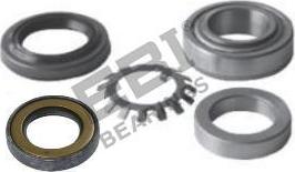 EBI EBK2049 - Set rulment roata aaoparts.ro