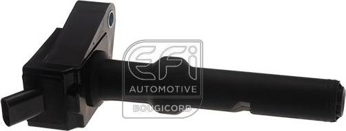 EFI 155534 - Bobina de inductie aaoparts.ro