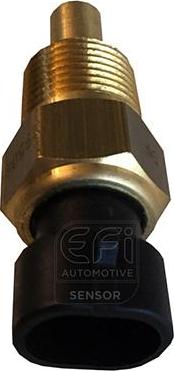 EFI 295069 - Senzor,temperatura ulei aaoparts.ro