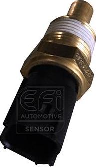 EFI 295068 - Senzor,temperatura lichid de racire aaoparts.ro