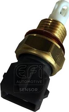 EFI 295039 - Senzor,temperatura aer admisie aaoparts.ro
