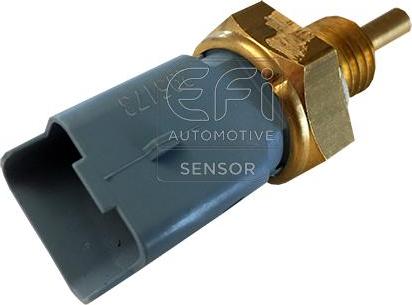 EFI 295173 - Senzor,temperatura lichid de racire aaoparts.ro