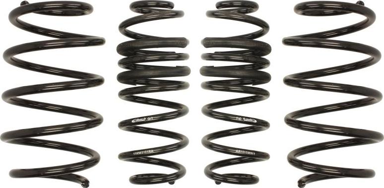 Eibach E10-65-031-01-22 - Set suspensie, arcuri elicoidale aaoparts.ro