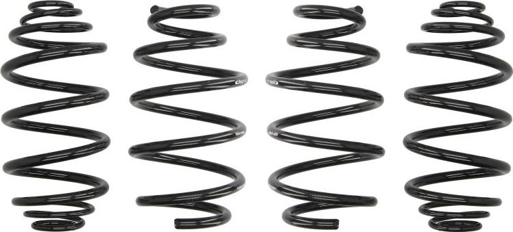 Eibach E10-65-020-02-22 - Set suspensie, arcuri elicoidale aaoparts.ro