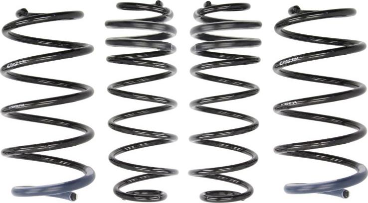 Eibach E10-70-010-01-22 - Set suspensie, arcuri elicoidale aaoparts.ro